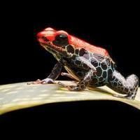 魚缸尺寸最好最吉利【魚缸尺寸全攻略】