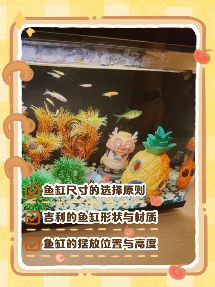 魚缸尺寸最好最吉利【魚缸尺寸全攻略】