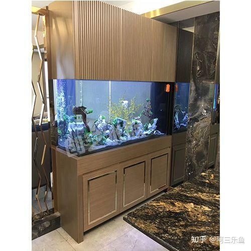 魚缸尺寸最好最吉利【魚缸尺寸全攻略】