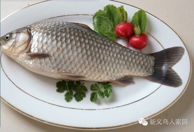 魚肚子白色寄生蟲【白色寄生蟲對魚的危害】
