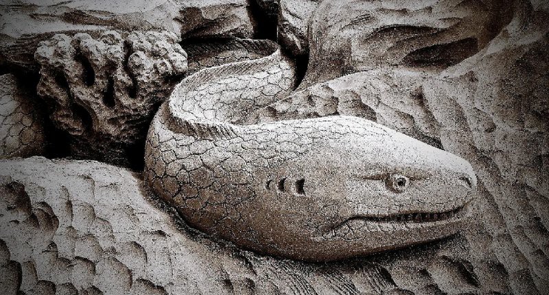 電鰻離開水還能放電嗎【電鰻為什么不會把自己給電死】