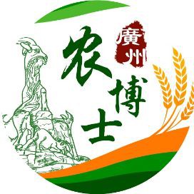 桂花魚有魚鱗還是無鱗【桂花魚有魚鱗還是無鱗，很多人不知道“這3步”,怪不得蒸出來魚肉又老又腥】