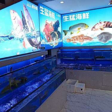 益陽魚缸店【益陽七秒水族魚缸店綜合信息整理赫山區七秒水族魚缸店怎么樣】
