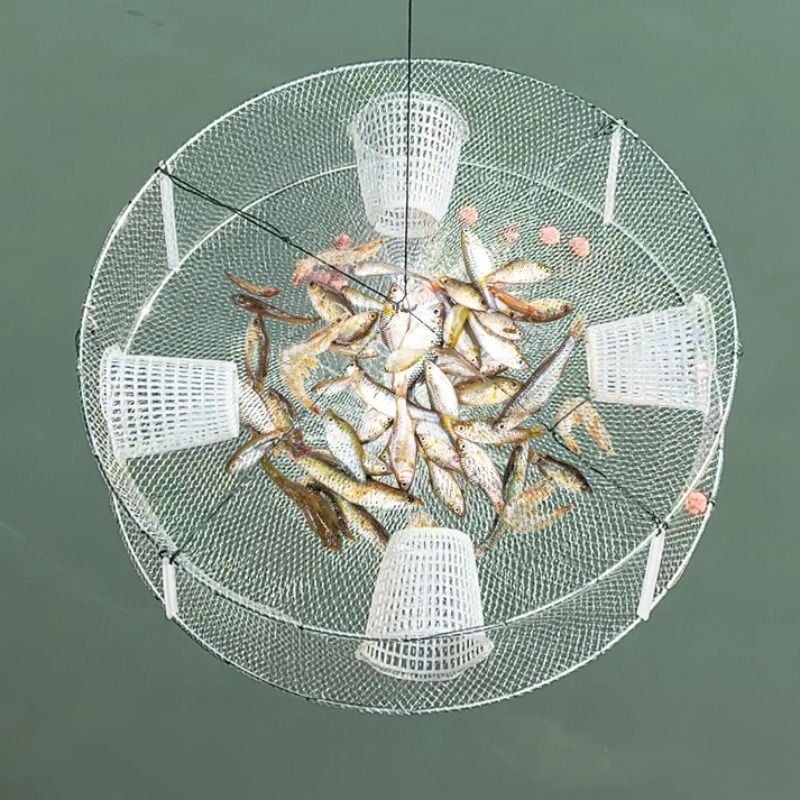 撈魚網圖片【撈魚網圖片及相關產品推薦】