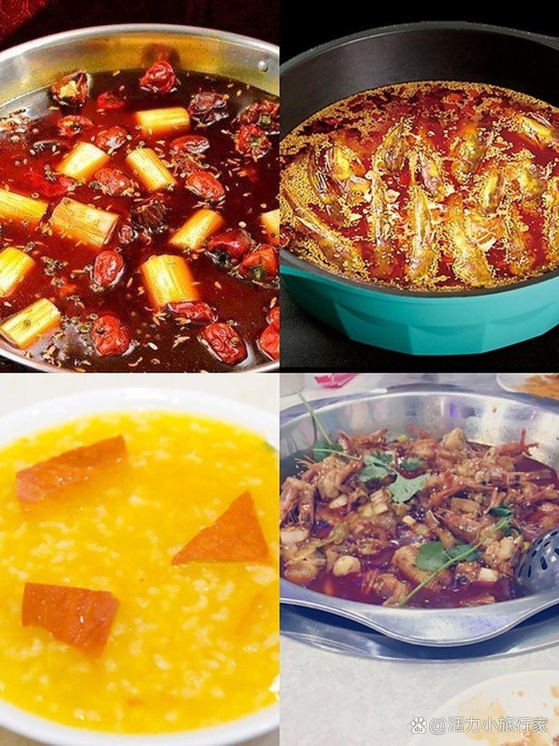 渭南龍魚店【吳朝陽親眼見證兩商戶為爭搶馬來西亞漁場的直供權】