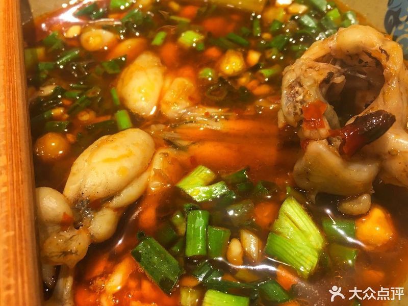 南川水族店【南川區哪家水族店口碑最好】