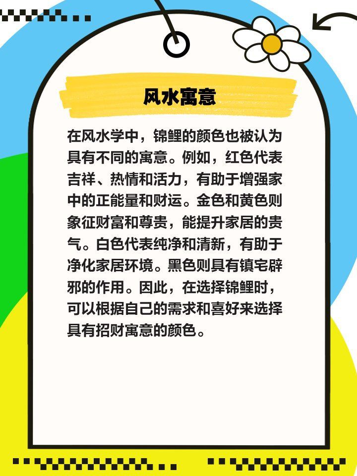 錦鯉養什么顏色最吉利【紅白錦鯉養什么顏色最吉利】