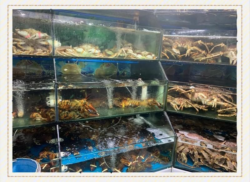 南昌水族批發(fā)市場(chǎng)【南昌水族批發(fā)市場(chǎng)怎么樣】 南昌水族批發(fā)市場(chǎng)【南昌水族批發(fā)市場(chǎng)怎么樣】 全國(guó)水族館企業(yè)名錄 第3張