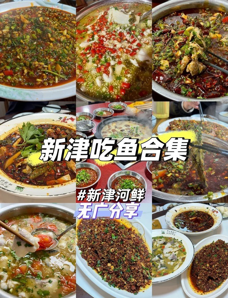 新津龍魚店【五一來新津龍魚店請你吃條大的新津龍魚店哪家口碑最好】