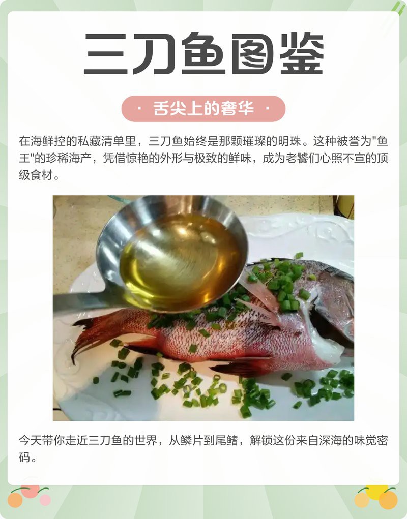 三刀魚有幾種圖片【\