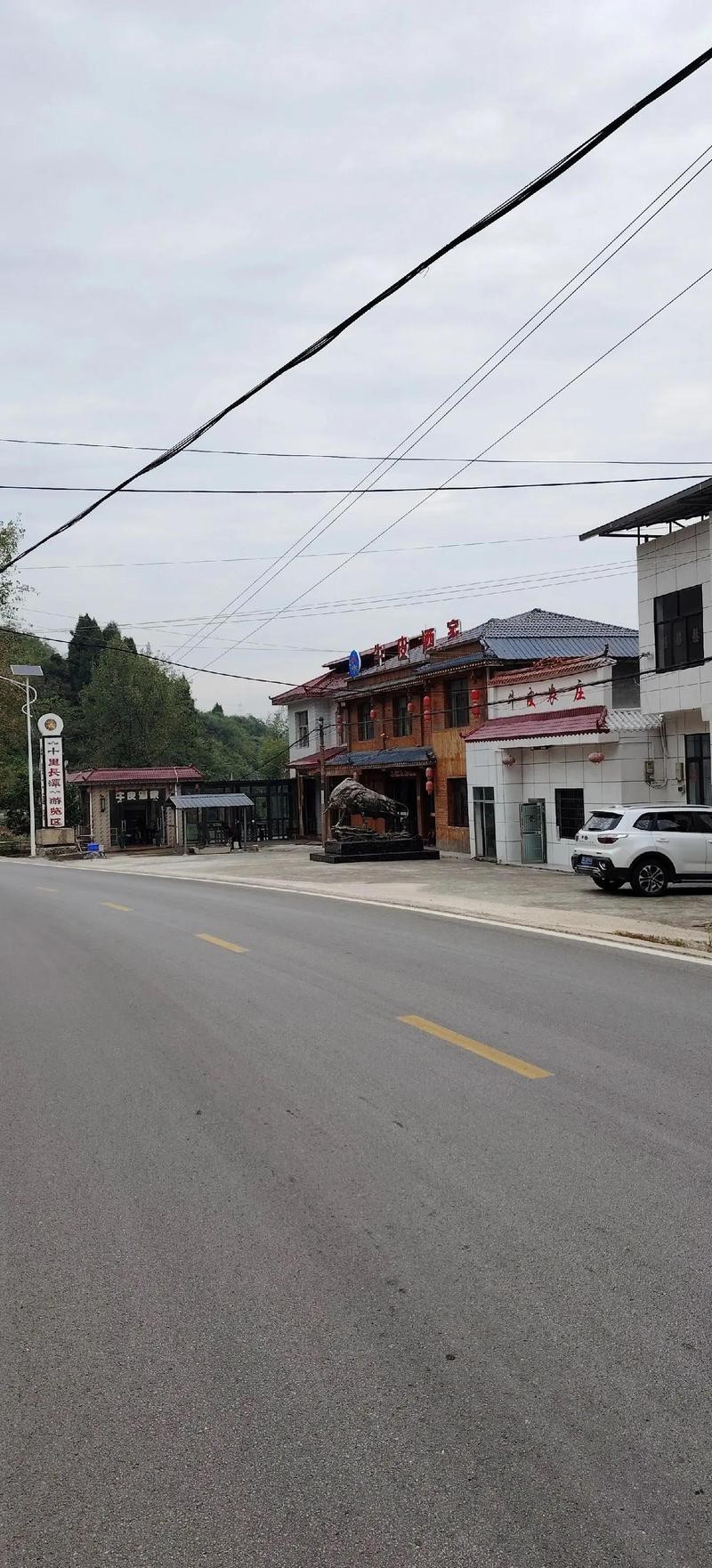 慈利龍魚店【慈利縣哪家魚館可能賣龍魚】