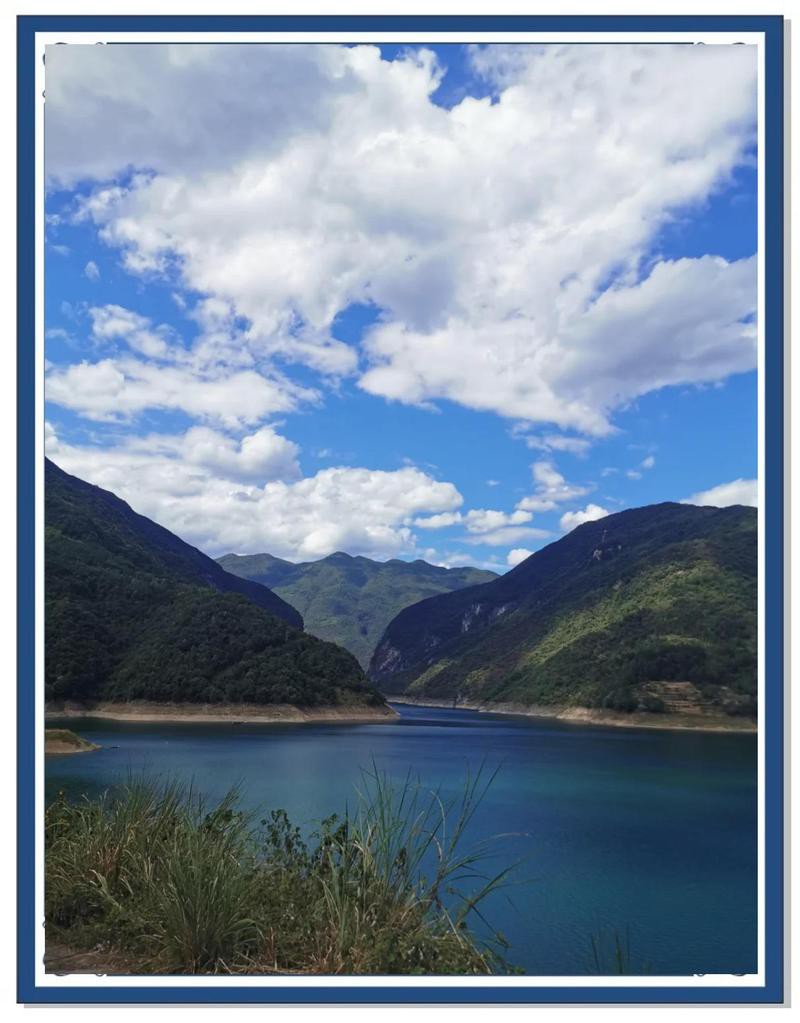 慈利龍魚店【慈利縣哪家魚館可能賣龍魚】