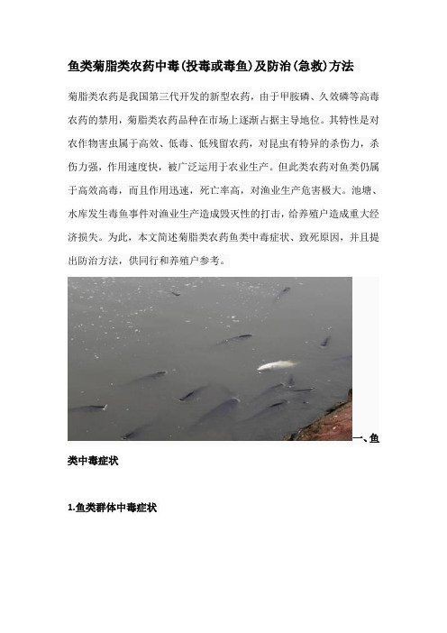 甲氰菊酯毒魚一畝用多少【甲氰菊酯毒魚后多久見效】 龍魚論壇 第3張 甲氰菊酯毒魚一畝用多少【甲氰菊酯毒魚后多久見效】 甲氰菊酯毒魚一畝用多少【甲氰菊酯毒魚后多久見效】 龍魚論壇 第3張