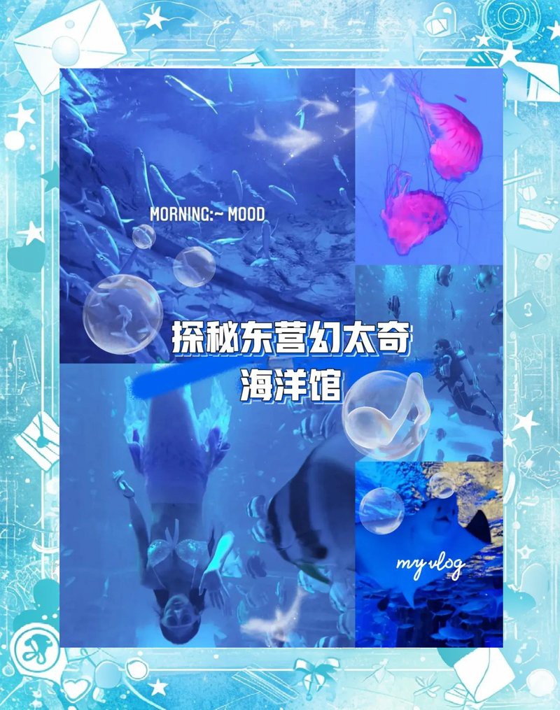 東營水族店【東營區(qū)水族店哪家好】