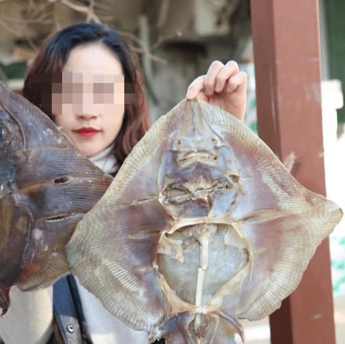 魔鬼魚吃人的照片【“魔鬼魚吃同事”事件實為誤傳，海洋館回應稱是誤食】