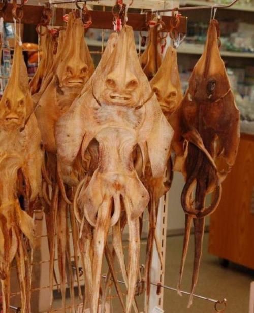 魔鬼魚吃人的照片【“魔鬼魚吃同事”事件實為誤傳，海洋館回應稱是誤食】