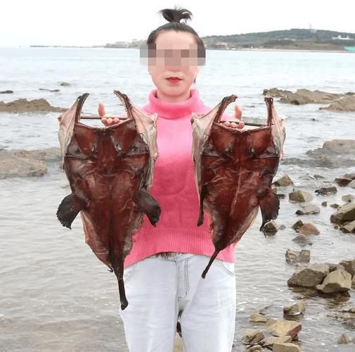 魔鬼魚吃人的照片【“魔鬼魚吃同事”事件實為誤傳，海洋館回應稱是誤食】