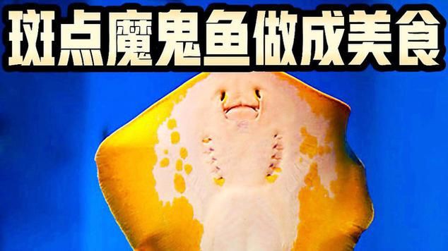 魔鬼魚吃人的照片【“魔鬼魚吃同事”事件實為誤傳，海洋館回應稱是誤食】