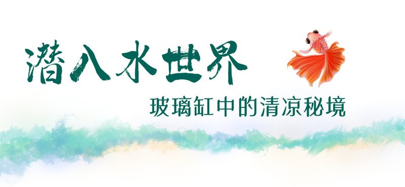 屯溪水族店【黃山市屯溪區(qū)主要水族店綜合信息】