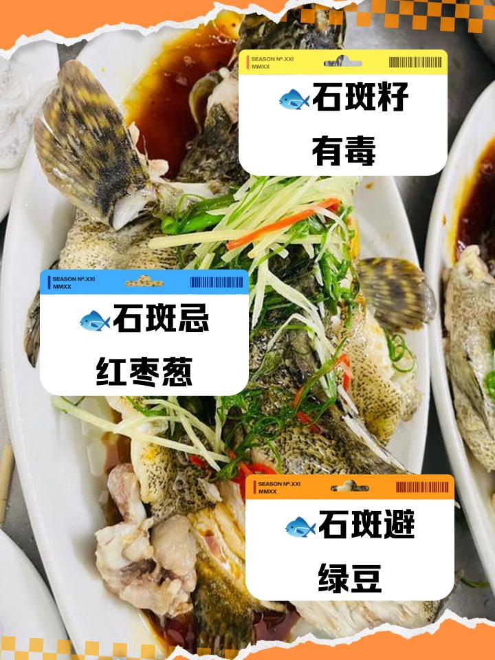 申古寶石魚最忌三種食物【關于申古寶石魚飼養的注意事項】