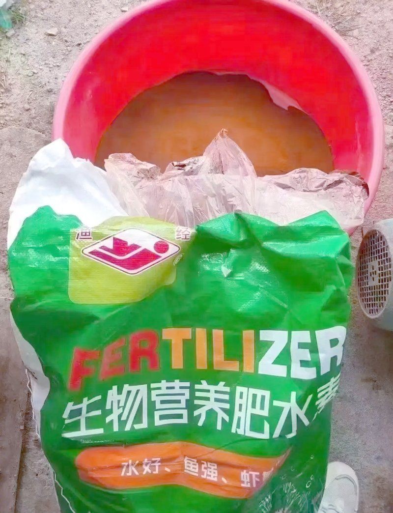雷龍魚品種大全【2025年8月鰱魚苗批發價格行情】