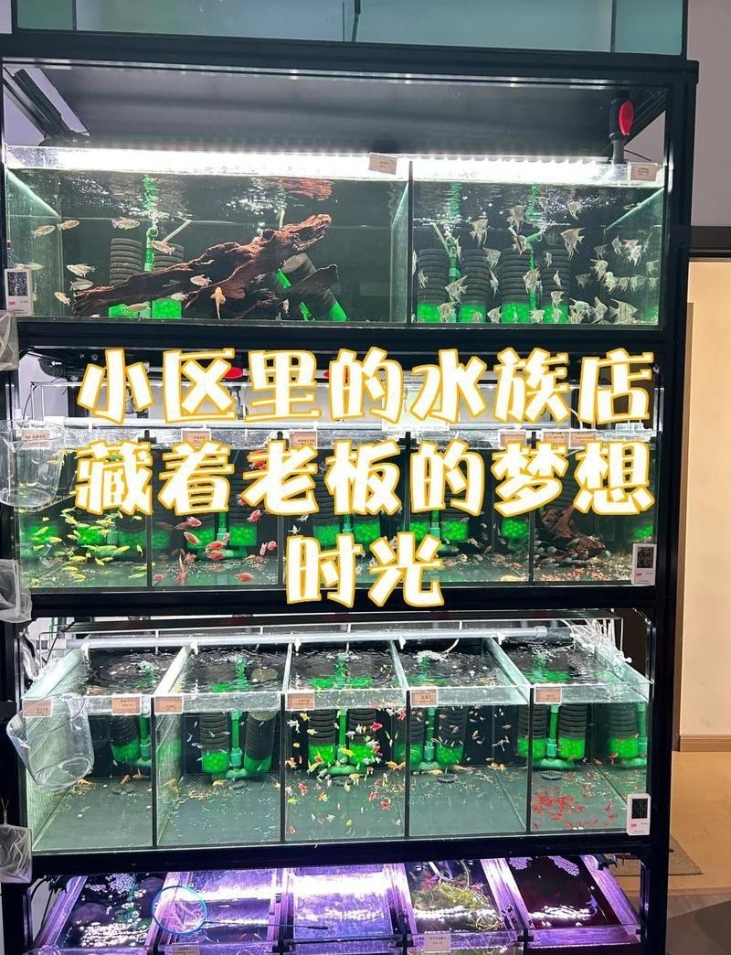 比如水族店【上海海洋水族館攜程旅行網,藏著老板的夢想時光眼眸先生盼安康】