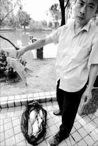 鯉魚害死了多少孩子【“鯉魚害死了多少孩子”這一說法引發諸多討論引發討論】