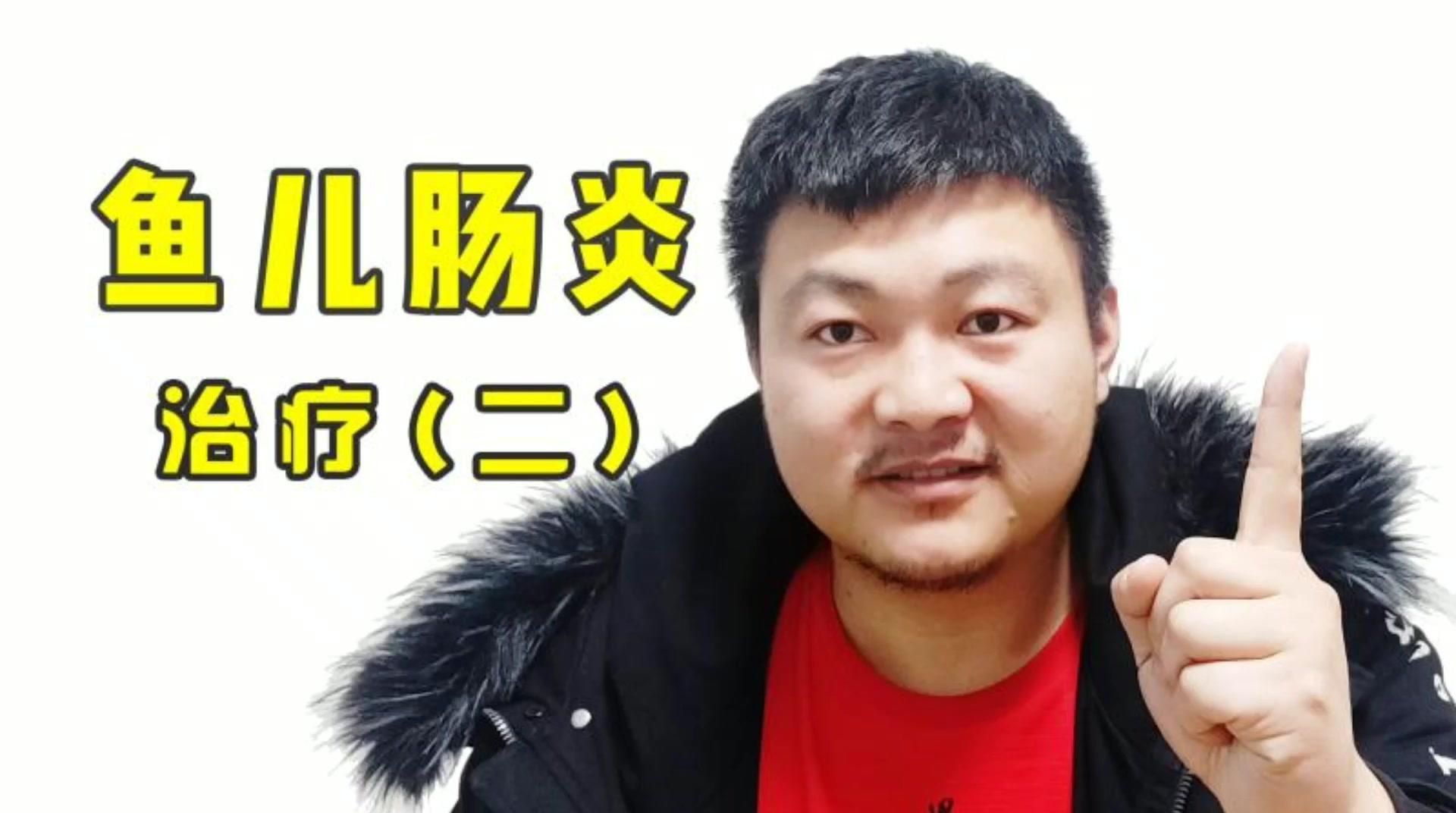 魚得了腸炎會自愈嗎【農技專家魚兒細菌性腸炎的四大原因及應對方法及應對方法】