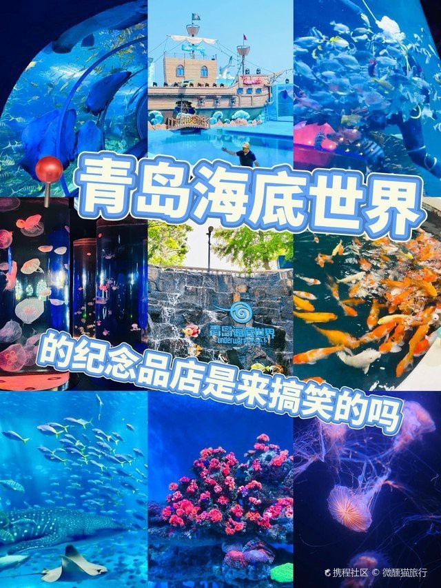 市南水族店【青島市南區(qū)擁有多家特色水族店涵蓋觀賞魚銷售、寵物飼養(yǎng)及用品服務(wù)等業(yè)態(tài)】 市南水族店【青島市南區(qū)擁有多家特色水族店涵蓋觀賞魚銷售、寵物飼養(yǎng)及用品服務(wù)等業(yè)態(tài)】 全國水族館企業(yè)名錄 第6張