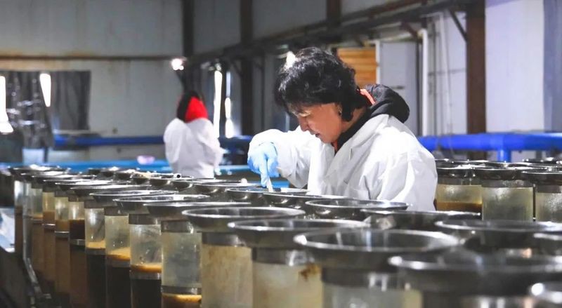 托克遜龍魚店【關(guān)于“托克遜龍魚店”的公開資料】 托克遜龍魚店【關(guān)于“托克遜龍魚店”的公開資料】 全國水族館企業(yè)名錄 第2張