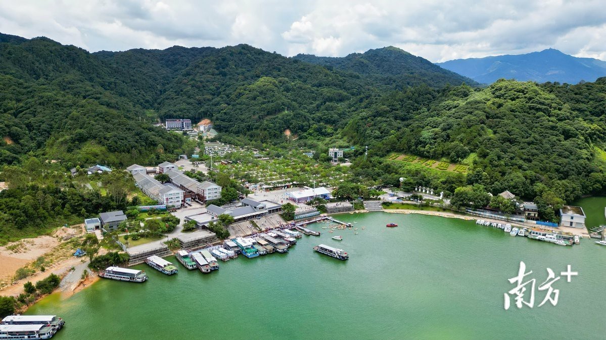 右江龍魚店【南方plus有沒有右江地區的龍魚店】