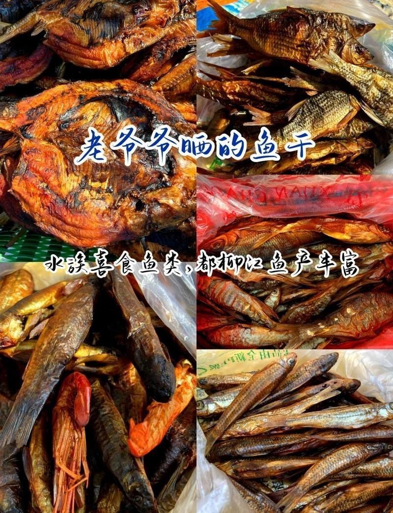 湘西土家族苗族自治州水族批發市場【湘西土家族苗族自治州的水族批發市場是當地特色產業的重要組成部分】