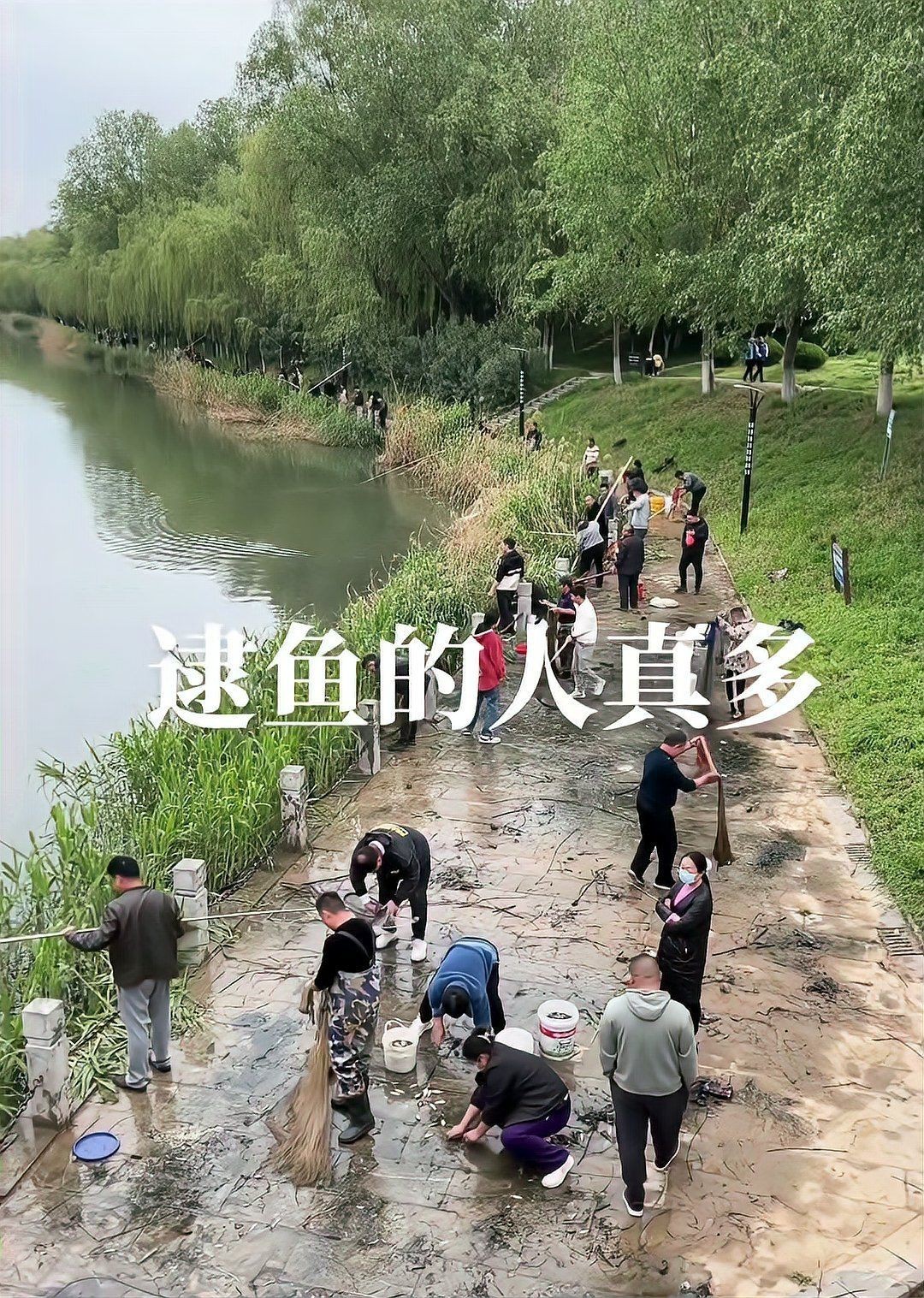 魚浮頭是什么原因【水產(chǎn)第一線,魚都“浮頭”了“頂水”咋回事別慌】