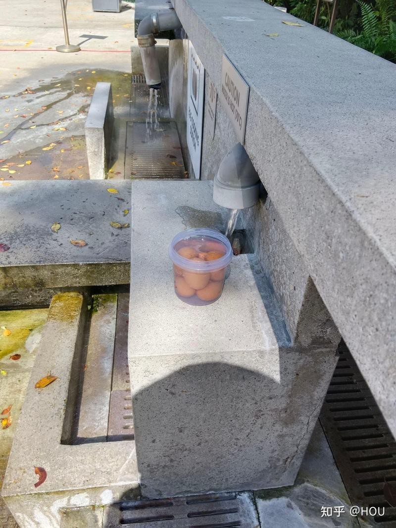 三巴旺屬于新加坡什么檔次【新加坡三巴旺溫泉公園、溫泉公園、溫泉公園、溫泉公園】