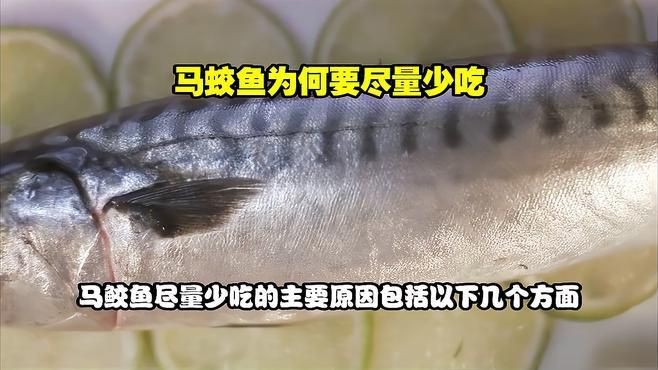 馬鮫魚為何被列入毒魚【馬鮫魚被列入“毒魚”范疇】