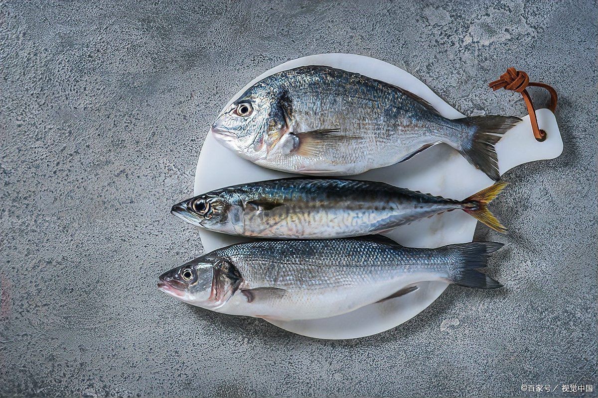 家庭吃的深海魚有哪些【家庭食用深海魚的方法】