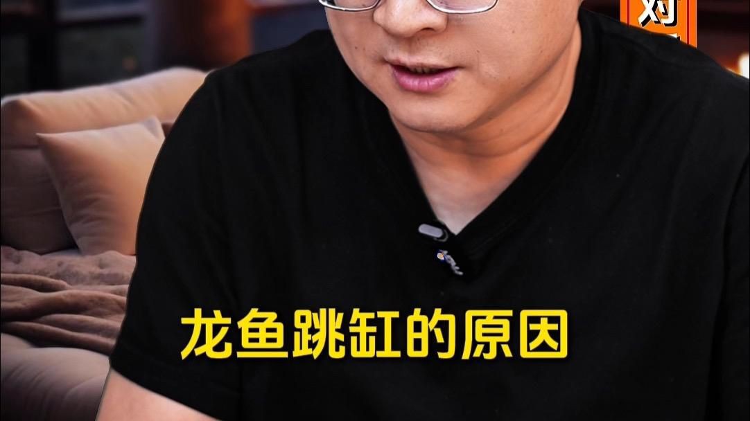 如何預(yù)防龍魚再次跳缸？【觀賞魚虎牙直播養(yǎng)雷龍缸10大忠告江月行客龍魚跳缸】
