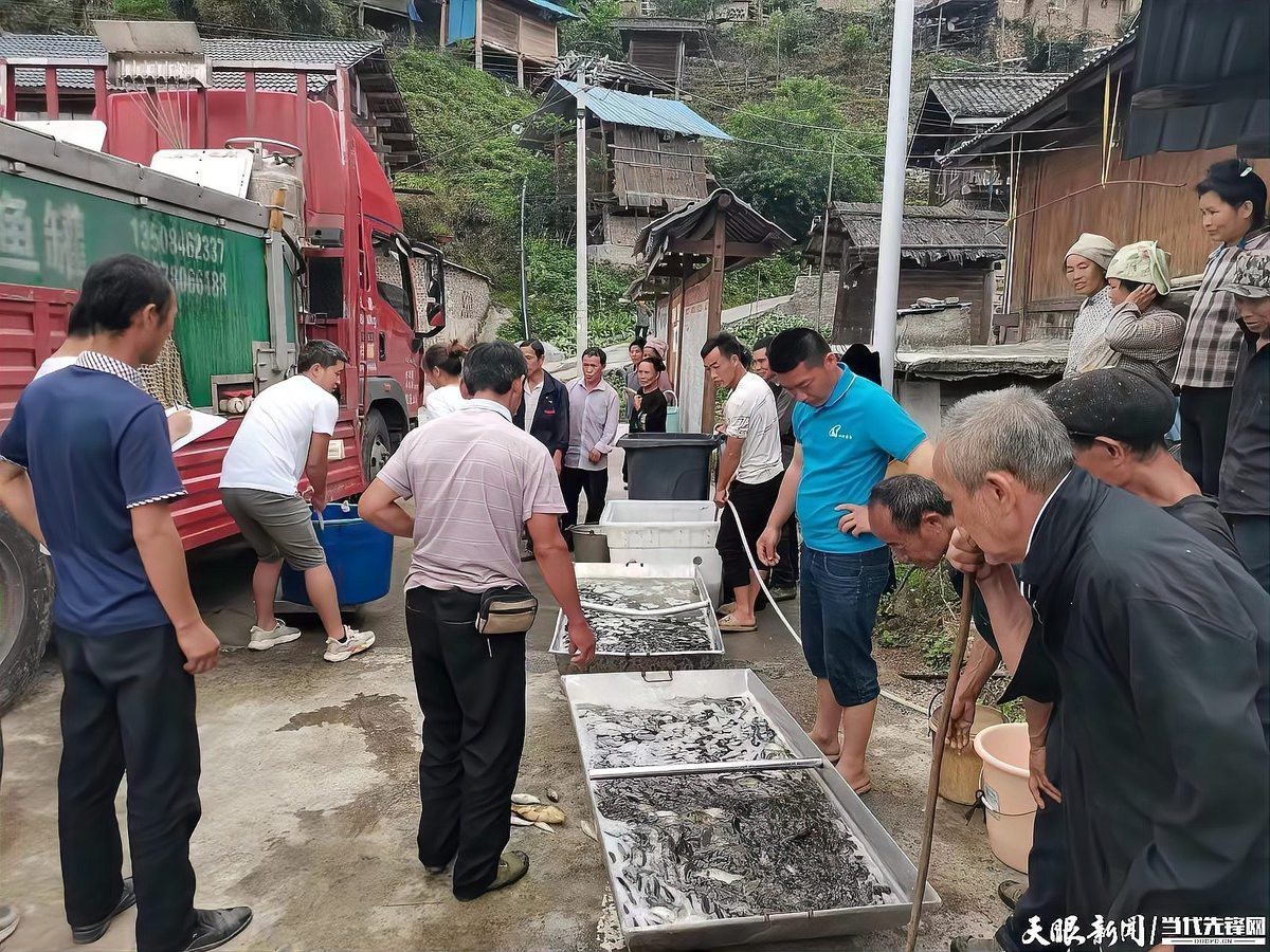 <strong><mark>三穗</mark></strong>龍魚店【<strong><mark>三穗</mark></strong>縣福龍魚村酒樓】