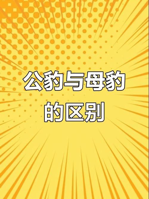 皇冠豹分公母對(duì)照表圖【“皇冠豹分公母對(duì)照表圖”以直觀的視覺形式呈現(xiàn)了雄性與雌性皇冠豹的差異】