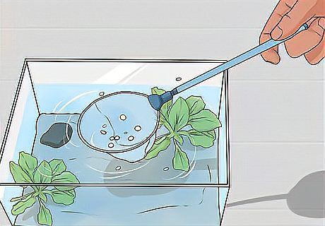 海口魚缸維護【《海口魚缸維護》】