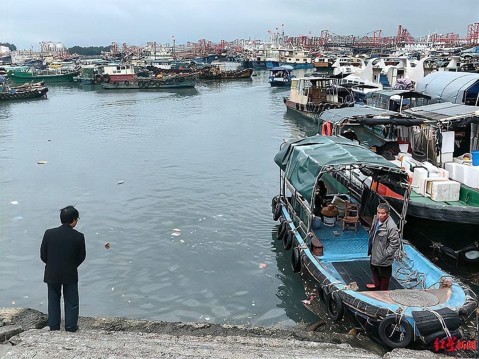 山陽龍魚店【山陽龍魚店有在線銷售嗎】 山陽龍魚店【山陽龍魚店有在線銷售嗎】 全國水族館企業(yè)名錄 第5張