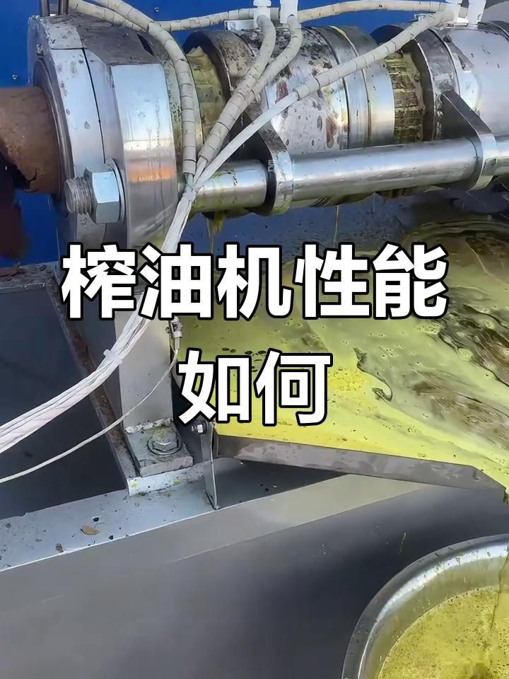 榨油機性能測試報告【《榨油機性能測試報告摘要》04:52測試“家用榨油機”】