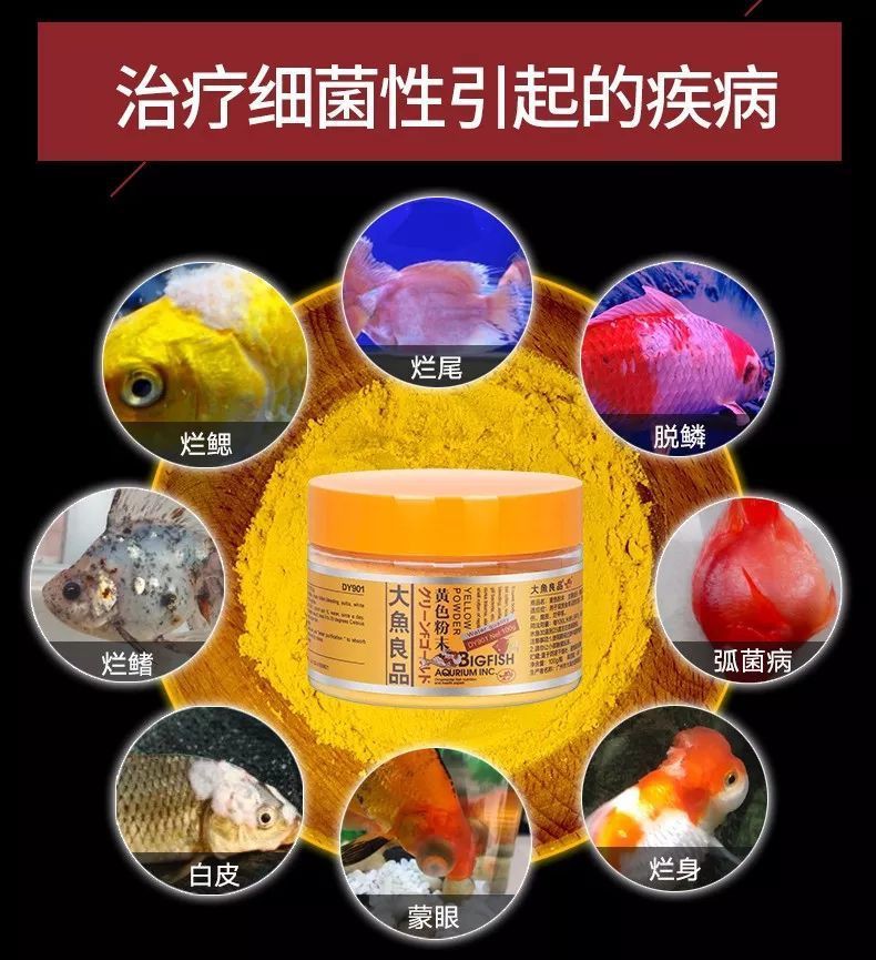 魚病的10種癥狀圖片【觀賞魚常見疾病10種典型癥狀及治療方法】