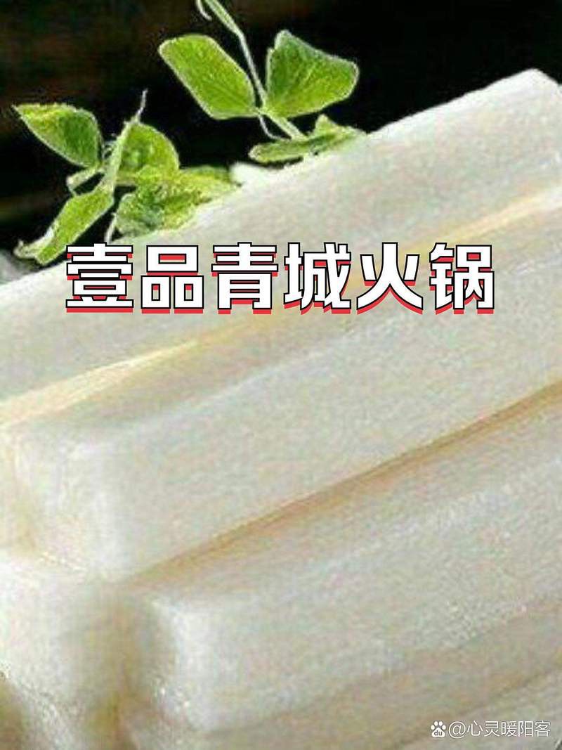 千陽龍魚店【千陽地區有沒有專業的龍魚店鋪？】