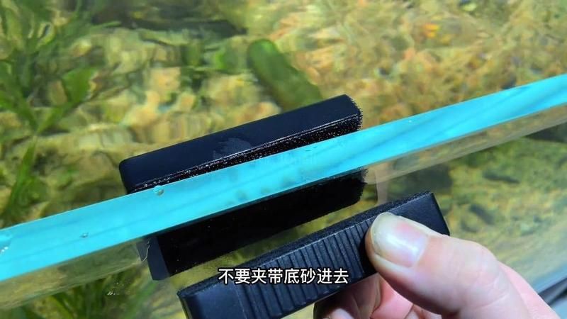 巢湖魚缸維護【巢湖特色魚缸維護全攻略巢湖魚缸維護全攻略】