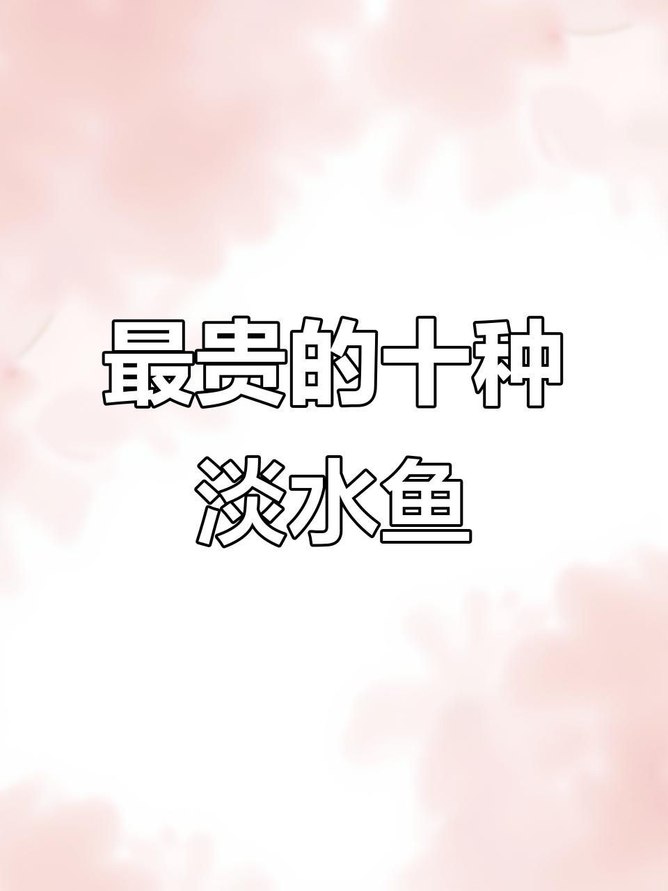 鯉魚中最貴的品種【中國最名貴的10種淡水魚有多貴】