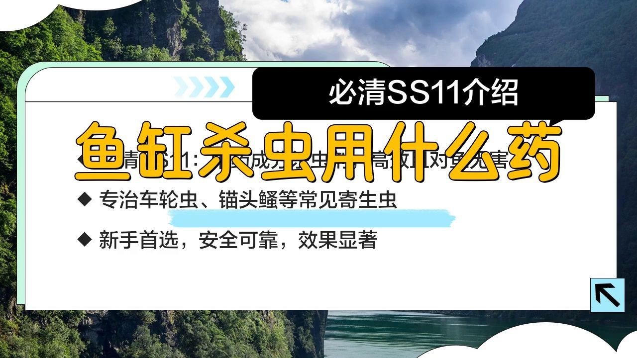 有哪些有效的龍魚除蟲藥物？【廣州龍魚祥龍魚場推薦:龍魚外寄生蟲治療方法牧場之星】