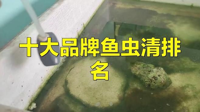 有哪些有效的龍魚除蟲藥物？【廣州龍魚祥龍魚場推薦:龍魚外寄生蟲治療方法牧場之星】