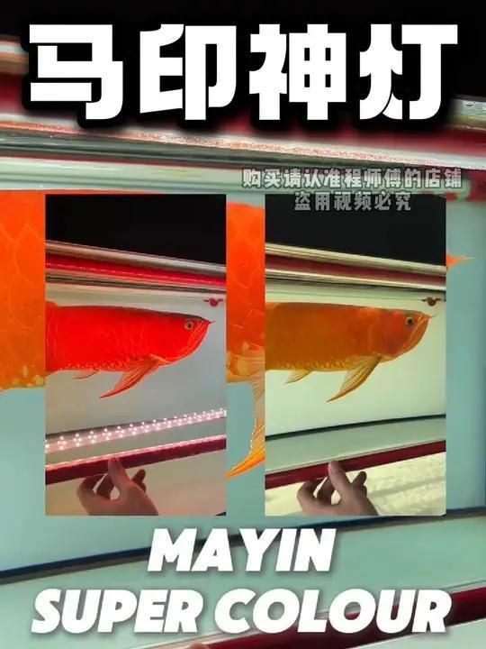 馬印神燈真假鑒別圖解【馬印神燈真偽鑒別】