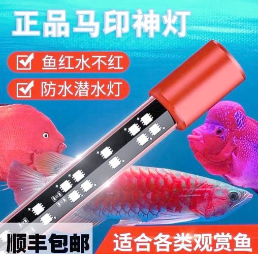 馬印神燈真假鑒別圖解【馬印神燈真偽鑒別】